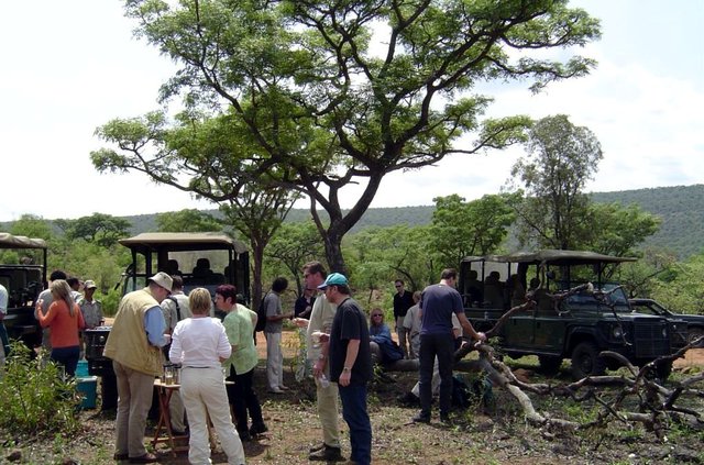 Safari