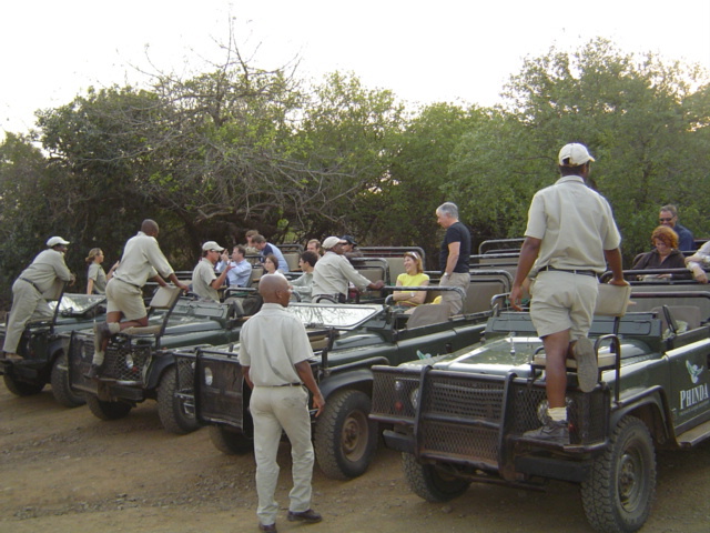 Safari